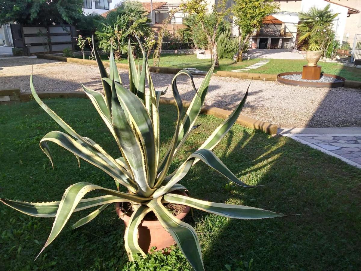 Ca Romi Villa Volta Mantovana Exterior foto